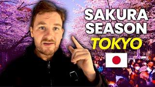 Tokyos BEST Sakura Spot  But Dont Make this Mistake...