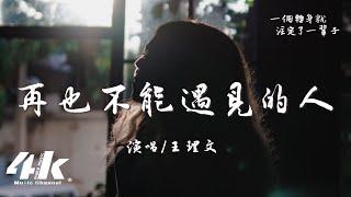 王理文 - 再也不能遇見的人『你是那個我再也不能遇見的人，可笑曾經卻是愛得那麼狠。』【高音質動態歌詞Lyrics】