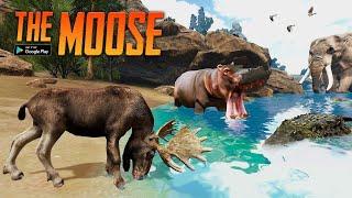 The Moose   Animal Simulator By Yusibo Simulator games