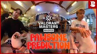 Pawsome Predictions  BLEED VALORANT  MADRID Masters Predictions