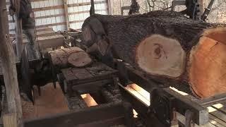 Cherry Anvil Stands on Antique Sawmill