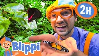 Blippi Experiments at the Science Center  BEST OF BLIPPI TOYS  Educational Videos for Kids