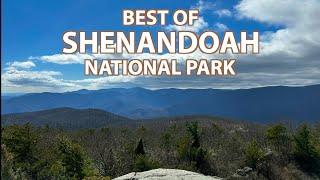 Discover the Best-Kept Secret in Shenandoah National Park