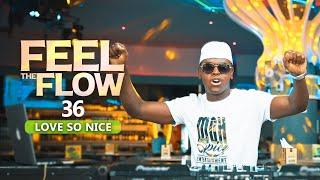 DJ FESTA FEEL THE FLOW 36  Love So Nice. Reggae Mix