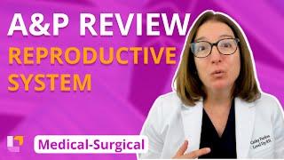 MS Reproductive System A&P Review