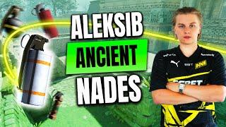 Aleksib POV Ancient Nades - Utility POV vs G2  CS2 Esports World Cup 2024