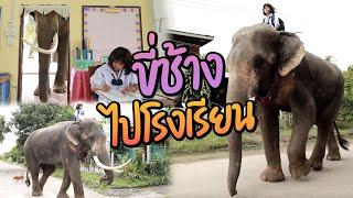 ขี่ช้างไปโรงเรียน  ไทยทึ่ง WOW THAILAND