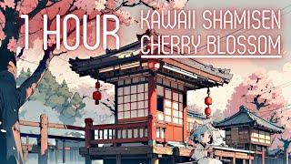  Cherry Blossom  Kawaii Shamisen Japanese Trap Bass Type Beat  Trapanese Lofi Hip Hop Music Mix