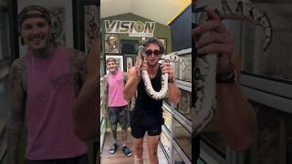 @TooTurntTony FEEDS RUSTY A BALL PYTHON  #wildlife #shorts #short #snake #venomous #animals