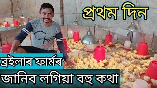 First day at broiler farm  প্ৰথম দিনৰ পৰা কৰিব লগিয়া কাম  Broiler farmr koribo logiya kam