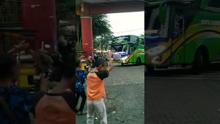 auto joget denger nada viral ini‼️#basuritelolet #basuriremix #busmania #viralshorts