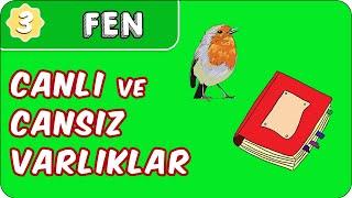 Canlı ve Cansız Varlıklar   3. Sınıf Fen evokul Kampı