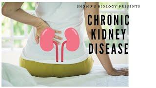 Chronic kidney disease CKD in Hindi  symptoms causes and treatment