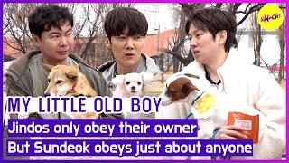 MY LITTLE OLD BOY Jindos only obey their owner. But Sundeok obeys just about anyone‍ENGSUB