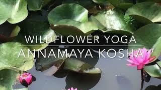 Meditation on the Body Annamaya Kosha