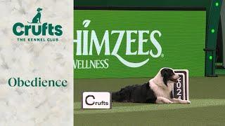 Obedience - Champion Dog and Reserve Dog Display  Crufts 2024