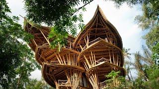 Magical houses made of bamboo  Elora Hardy