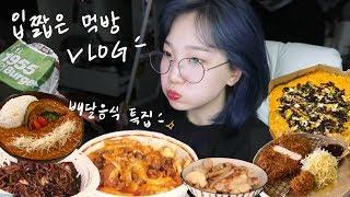 먹방 브이로그  차돌 떡볶이 피자샵 불고기 피자 간짜장 + 탕수육 미트소스 불닭볶음면 맥도날드 1955 햄버거 돈까스 + 카레 매콤까르보나라 떡볶이 일상 브이로그