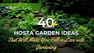 40+ Hosta Garden Ideas That Will Make You Fall in Love with Gardening   Gardening Ideas