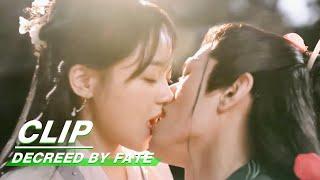 Clip Rong Er and Tingxiao Tries to Relive Their Wedding Night  Decreed by Fate EP16  千金难逃  iQiyi