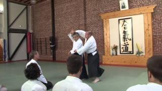 Suginami Aikikai SF