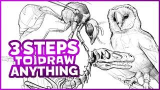 How to Draw Anything in 3 Easy Steps