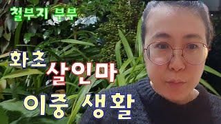 화초 살인마의 이중생활  f.t 만두 만들기