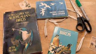 Vintage Bird Books in My Shop