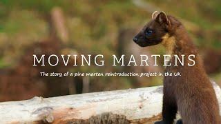 Moving Martens