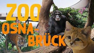 Zoo Osnabrück  Zoo-Eindruck