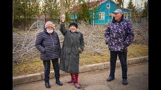 «Столбы Хатыни» Ясеневую аллею в посёлке Солнечном превратили в аллею столбовую