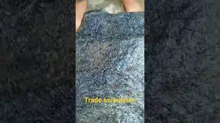 trade as  bulu monyet#video #shorts