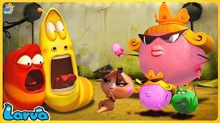 LARVA NEW VERSION TOP 100+ EPISODE  NEW COMEDY VIDEO 2024  MINI SERIES FROM ANIM  Larva Official