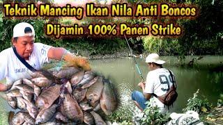 TEKNIK VIRAL‼️CARA MANCING IKAN NILA LIAR YANG SUSAH MAKAN