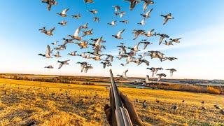 9 MAN LIMIT 30 MINUTES EPIC FIELD DUCK HUNT