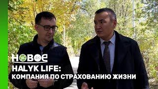 HALYK LIFE  СТРАХОВАНИЕ ЖИЗНИ