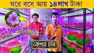 ঘরের মধ্যে ফলছে ১৪ লাখ টাকার কেশর  Indoor Saffron farming in West Bengal  Kesor Chas  saffron