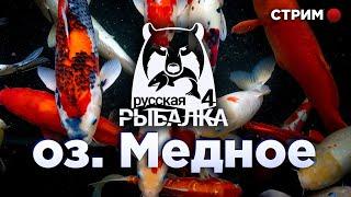 Русская Рыбалка 4 - Озера медная Кой Карп ПК