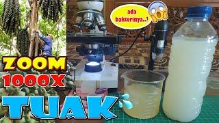 ZOOM 1000X TUAK MINUMAN TRADISIONAL BERALKOHOL