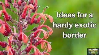 Ideas for a fully Hardy Exotic Border 100m long.