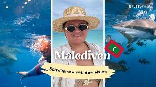 Schwimmen mit den Haien auf den Malediven  Fulidhoo Ich reise alleine ️