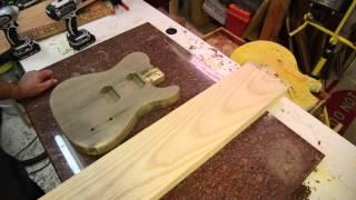 Luthier Wood Review Swamp and Northern Ash Guitar body wood tonewood