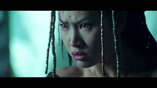 Donnie Yen - 14 Blades 2010 - Final Fight - HD