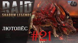 Raid SL Гайды #21 ► Лютопёс ► Лучший качер корма