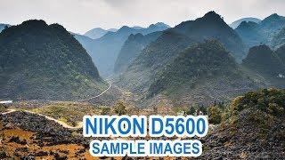 Nikon D5600 Sample Images   Nikon D5600 Photography