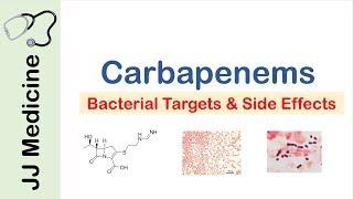 Carbapenems  Bacterial Targets Mechanism of Action Side Effects