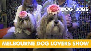 DOG JOBS AUSTRALIA - S02E07 - MELBOURNE DOG LOVERS SHOW