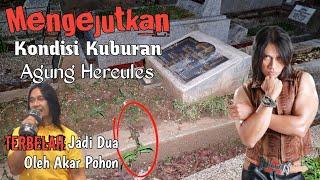 Mengejutkan Kondisi Makam Agung Hercules Terbelah Terangkat Sama Akar Pohon