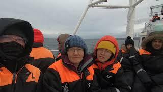 Boat trip at Húsavík Iceland