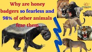 Why are honey badgers so fearless and 98% of other animals fear them